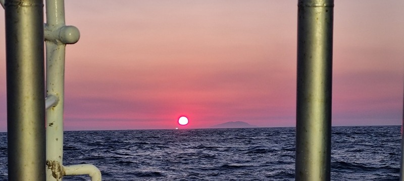 선상낚시벙개출조