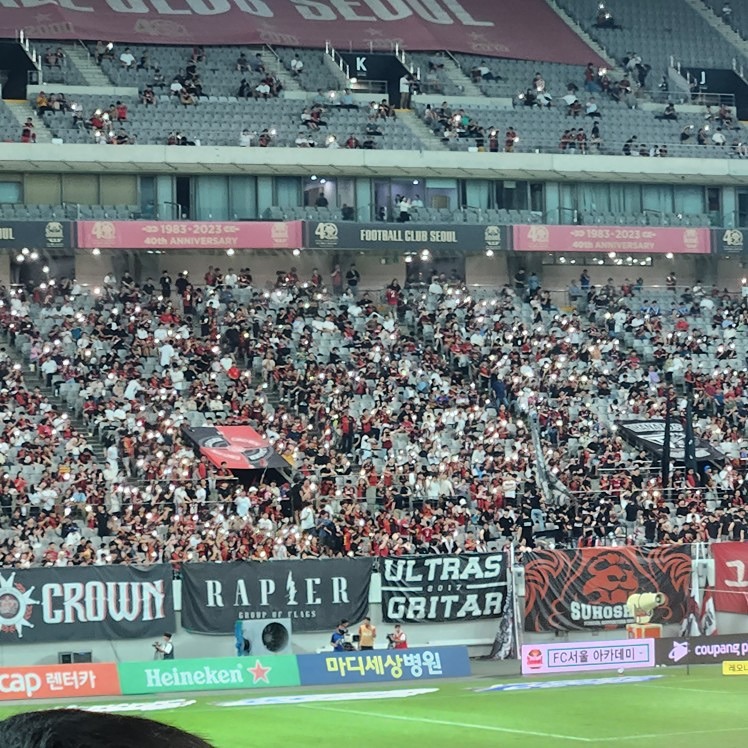 풋살 차보아요 앨범 사진
