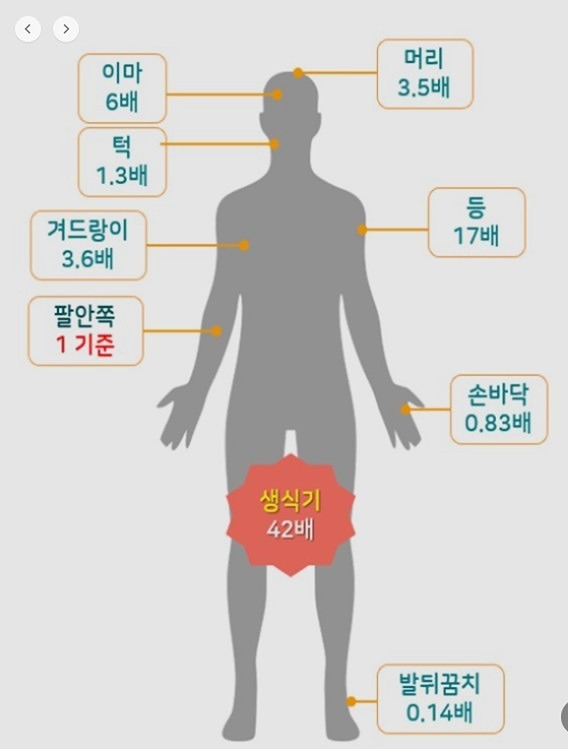 경피독 아시나요?