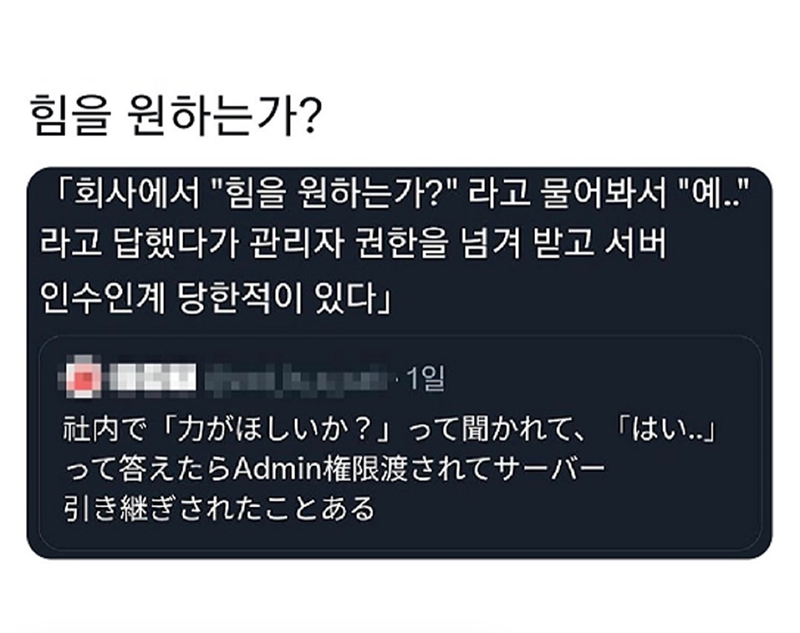 IT직장인 스터디 앨범 사진