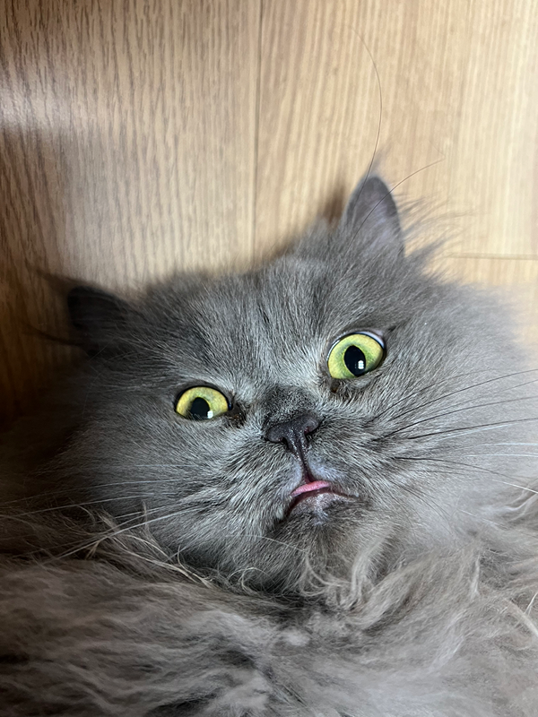 왜이러는걸까요?….ㅋㅋㅋㅋ