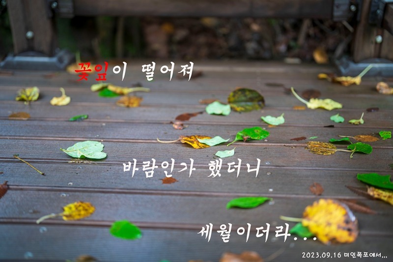 등산모임 앨범 사진