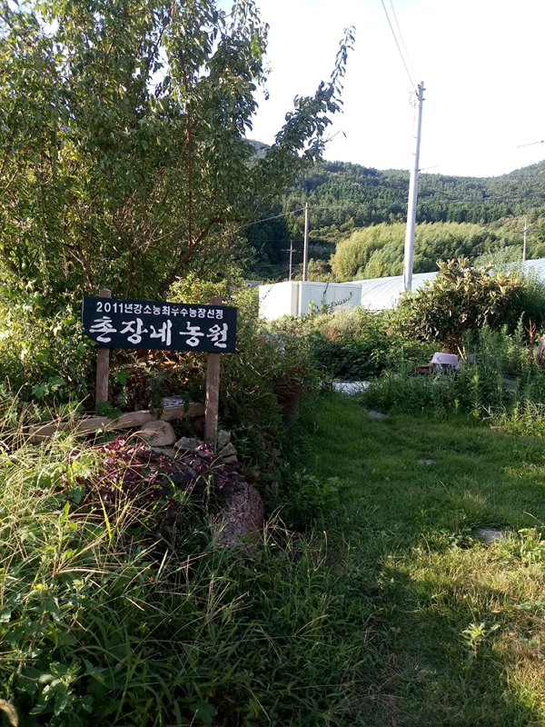 촌장네 앨범 사진