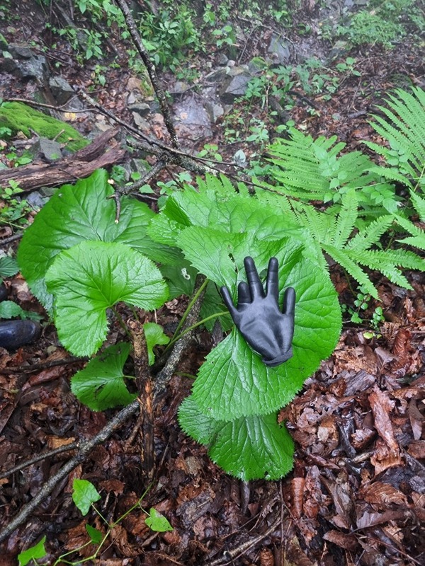 산약초모임