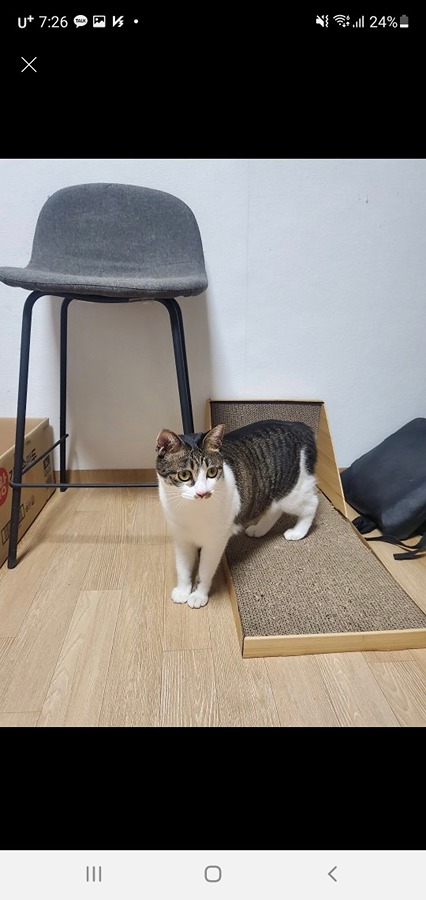 CU 성대양현관입구점 picture 1
