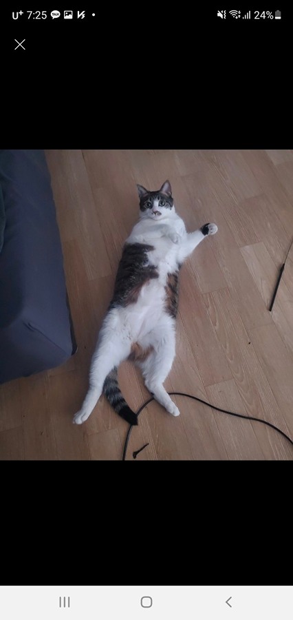 CU 성대양현관입구점 picture 3