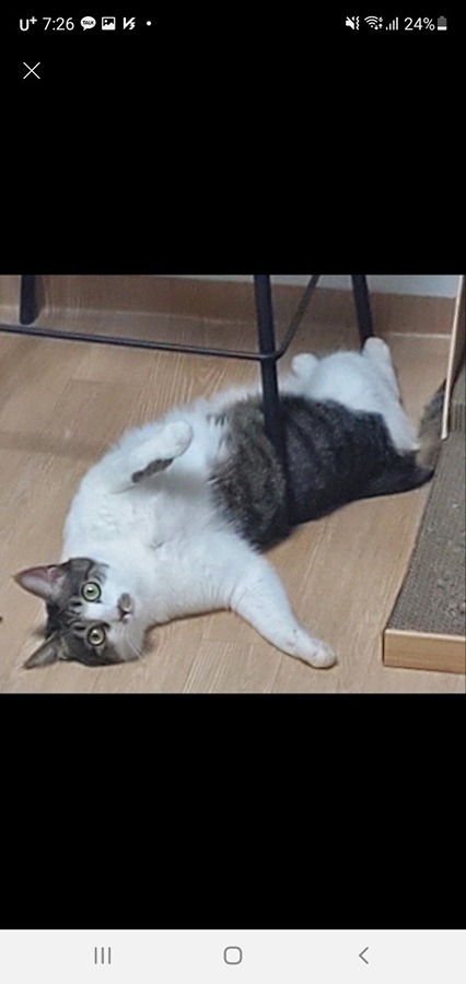 CU 성대양현관입구점 picture 4