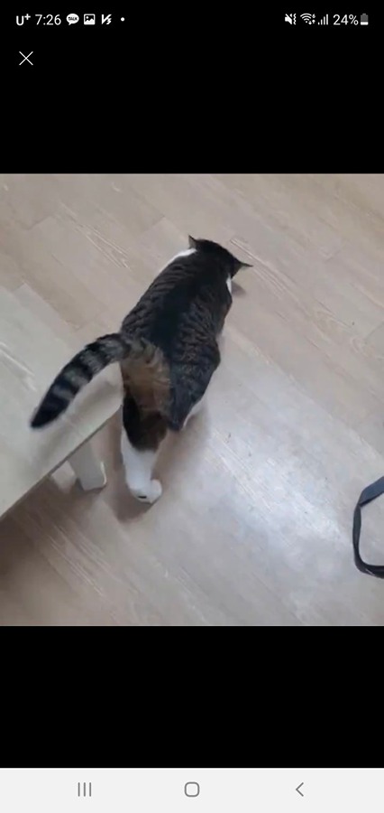 CU 성대양현관입구점 picture 5