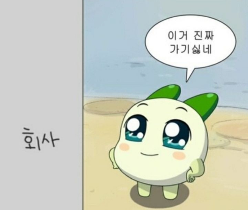 ⚡️부산 20대 직짱인 모임⚡️ 앨범 사진