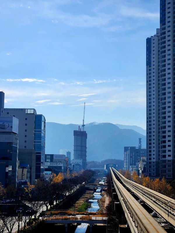 이번주 또 걸으까요~^^