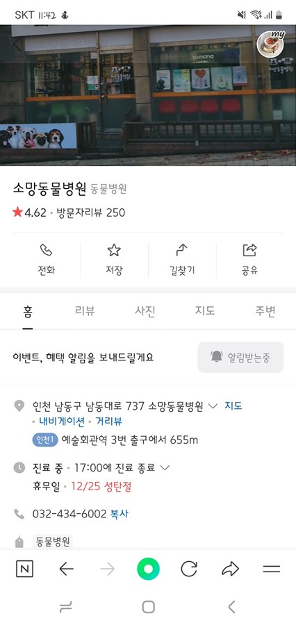 소망동물병원