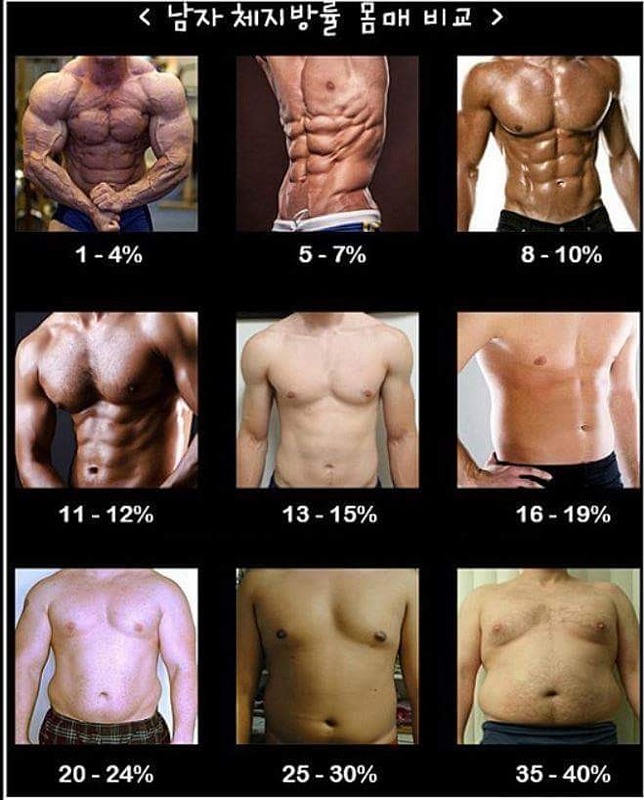헬스관장 헬스 노하우 전수 <다이어트챌린지> 앨범 사진