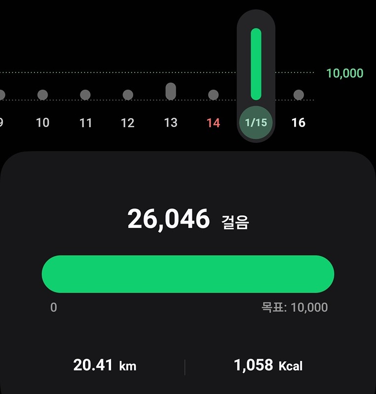 1월15일