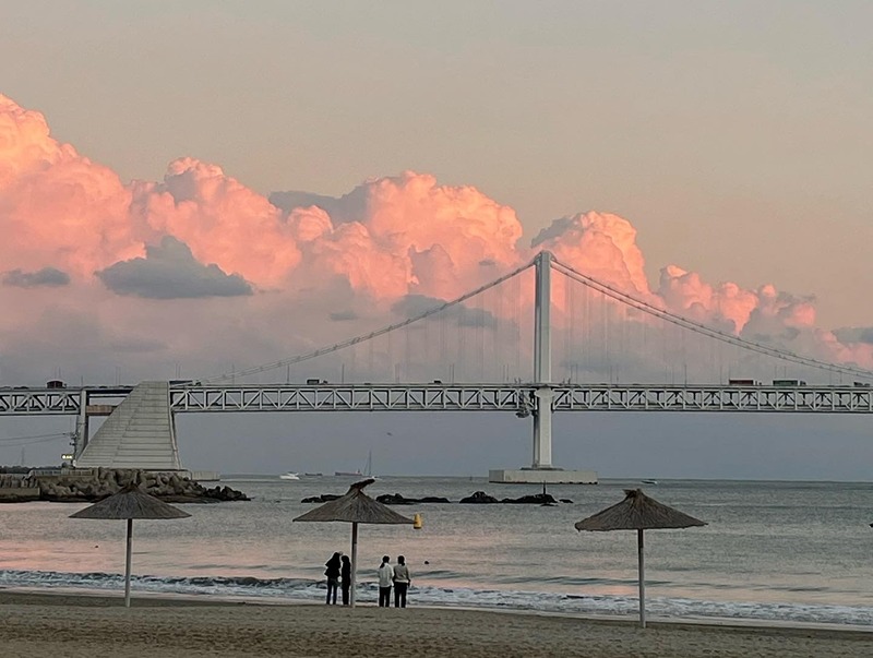 50대모임