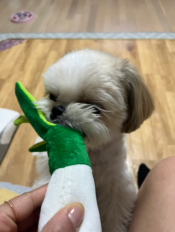 안녕하세요