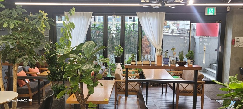음악듣기 책보기 멍때리기