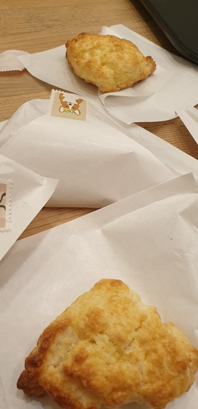신림동 초보 영어회화스터디 앨범 사진