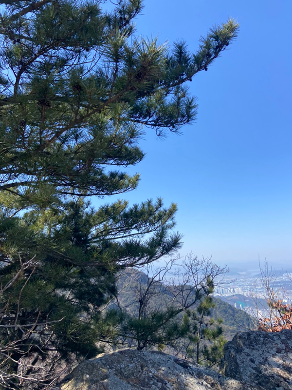 초보자 20대들 등산해보자🏔️ 앨범 사진