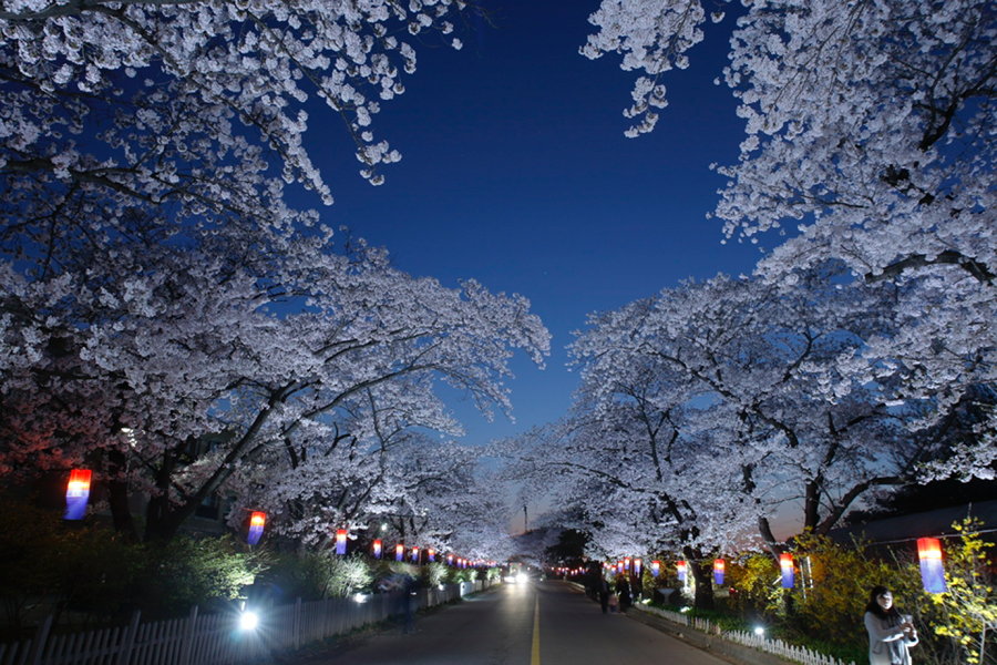 용인 골드cc 골프장 picture 1