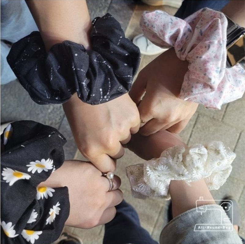 [대전]올라운드독 ��앨범 사진