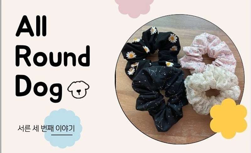 [대전]올라운드독 앨범 사진