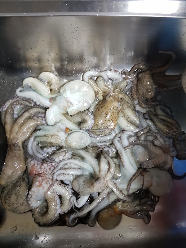 포항 초보 찌낚시 앨범 사진