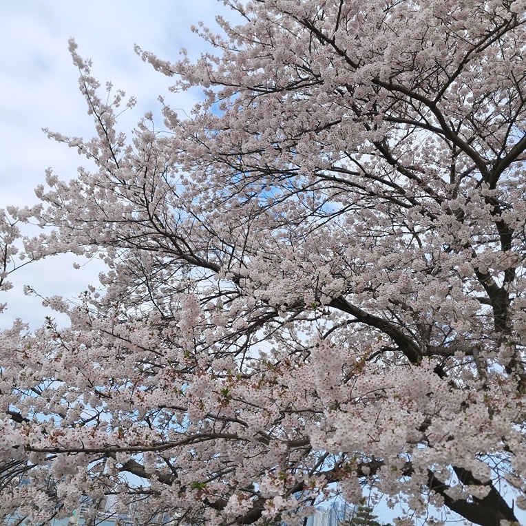 센텀당구마을 앨범 사진