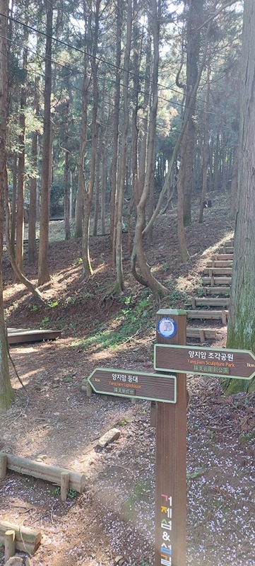 맨발의 청춘! 앨범 사진