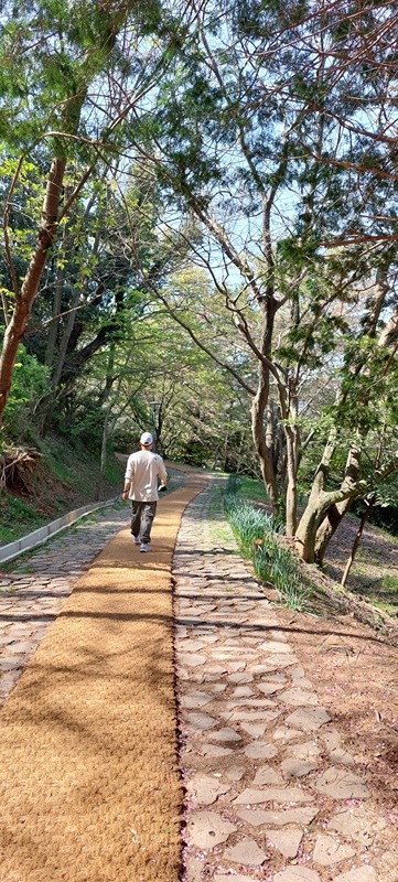 맨발의 청춘! 앨범 사진
