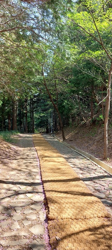 맨발의 청춘! 앨범 사진