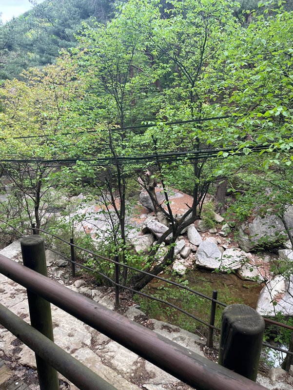 등산후 헬스👍🏻