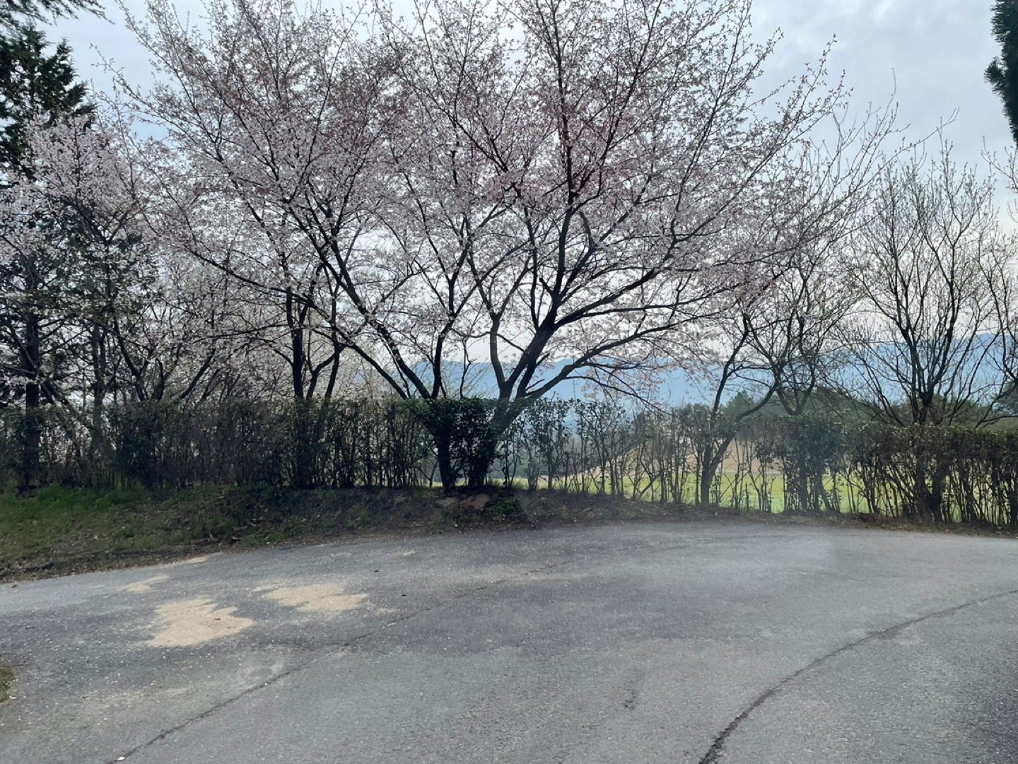 [전북솔로]골밍아웃 ⛳️ 앨범 사진