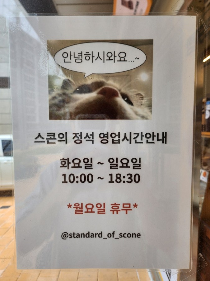 스콘의 정석 picture 2