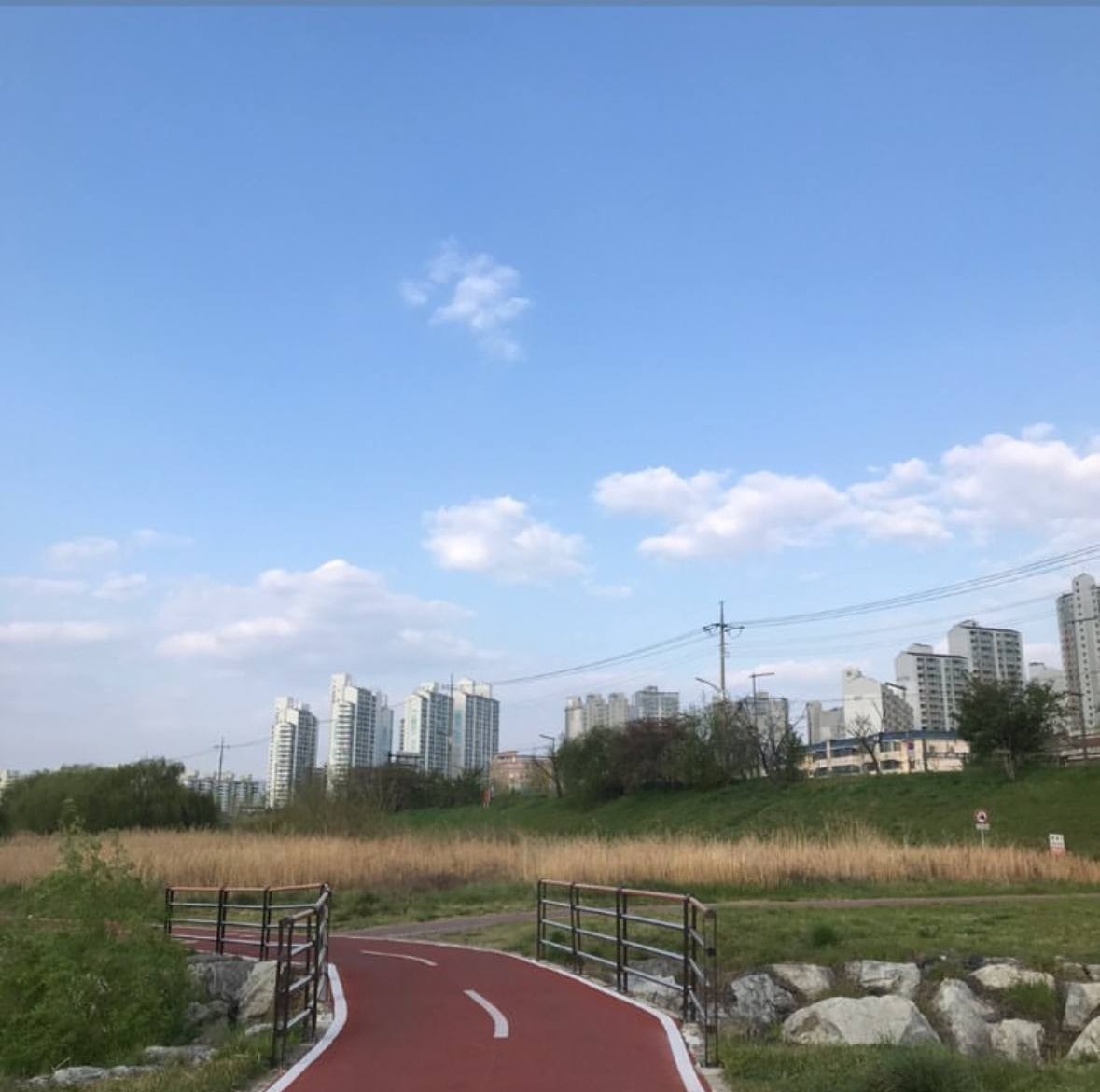 목금토일  자전거 타요~ 앨범 사진