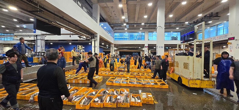 노량진수산시장으로  낚시 가야 겠어요  낚시대 말고 돈 들고요  
시중  반값이하 더군요   ㅎ