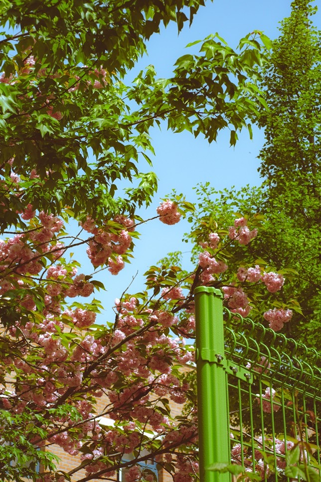 안녕하세여
백수라 합니다
처음뵙겠습니다
주로 길거리에서 촬영을 하고
밑에 사진들은 최근에 찍은 사진들입니다