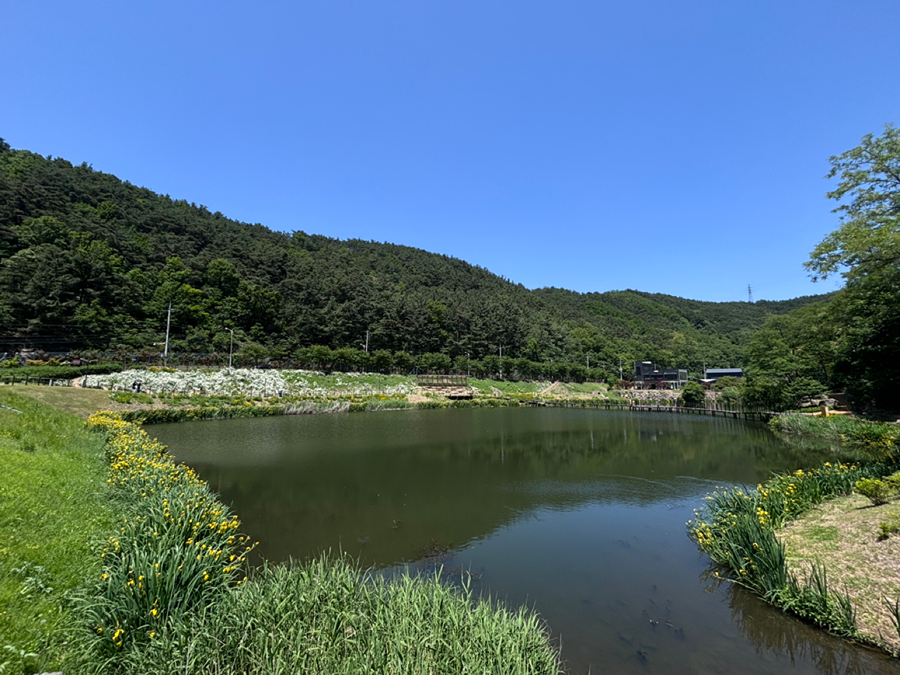 진밭골야영장 picture 1