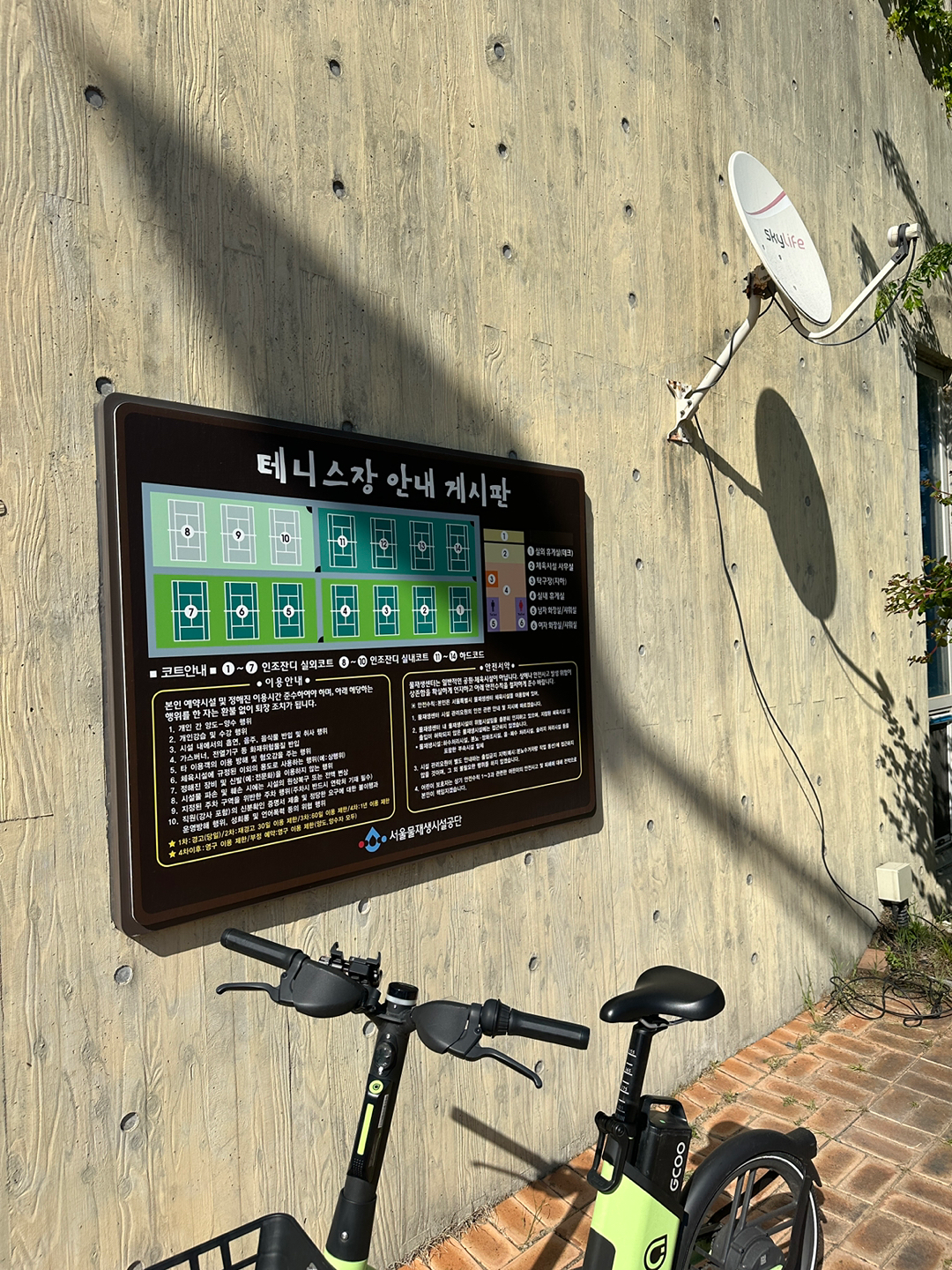 테니스 테린이모여라 앨범 사진