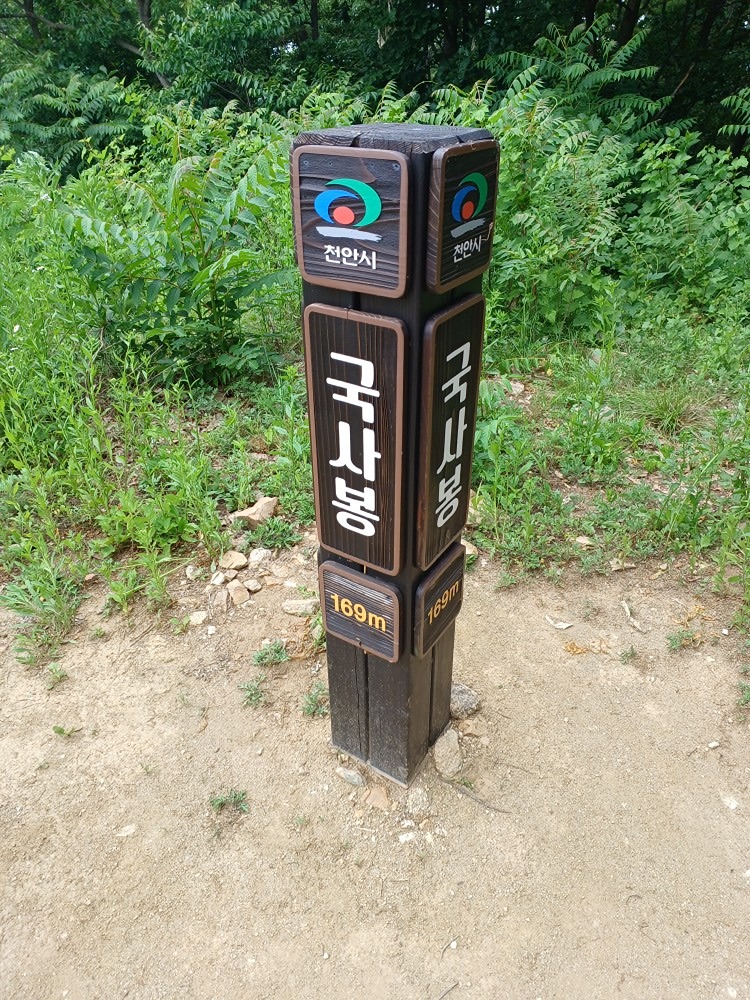 큰매산정상.그늘져서시원하고.산행하기부담없고주차하기좋아용.