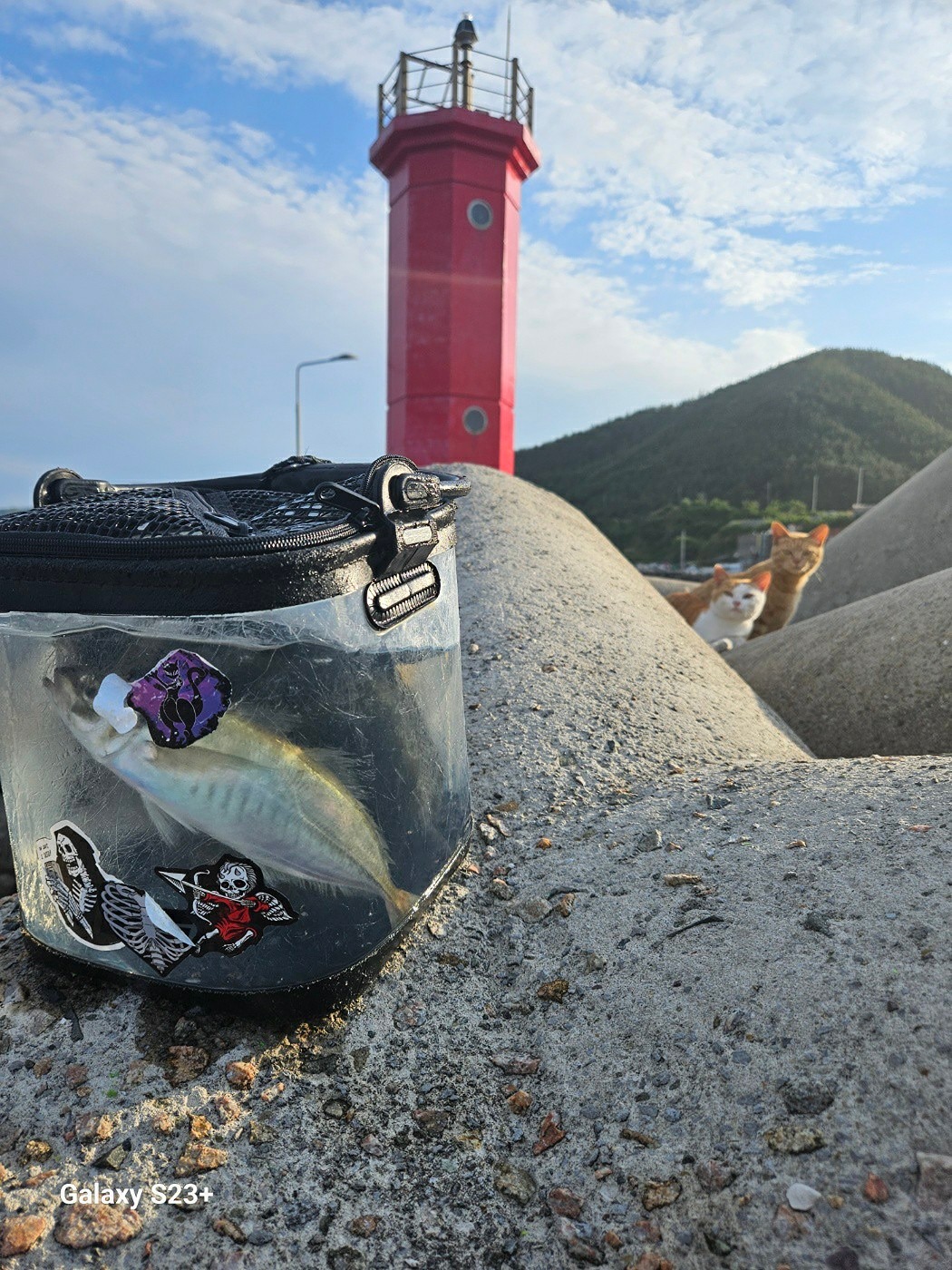 포항 초보 찌낚시