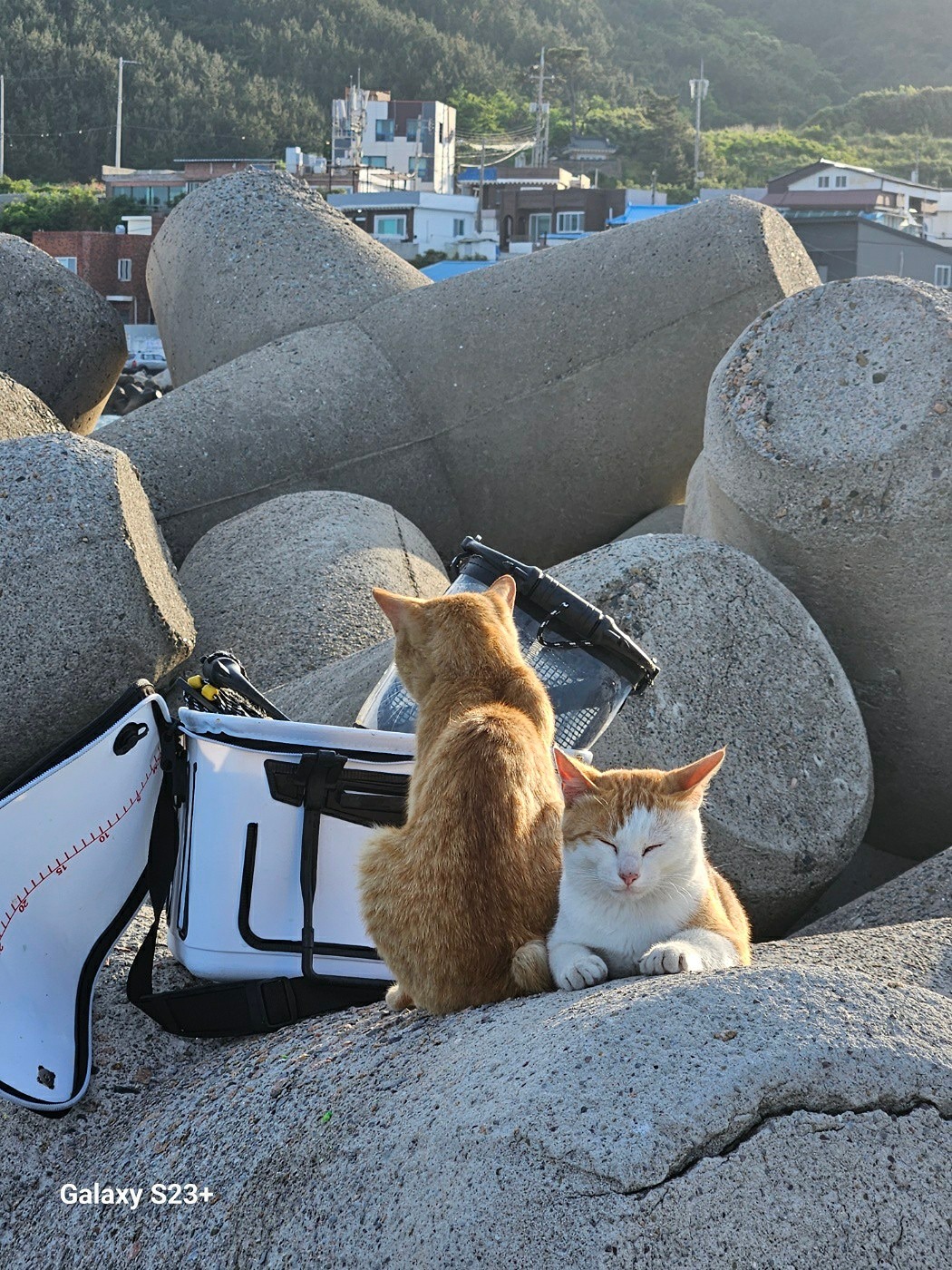 포항 초보 찌낚시 앨범 사진