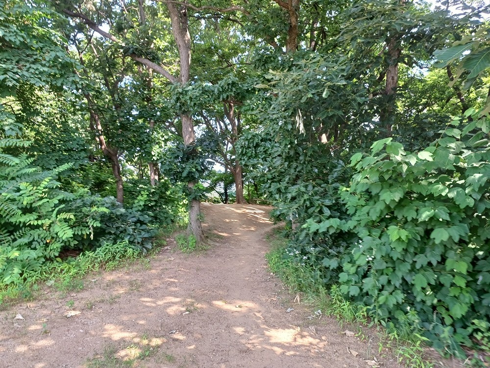 즐거운주말,시원한산행~^^