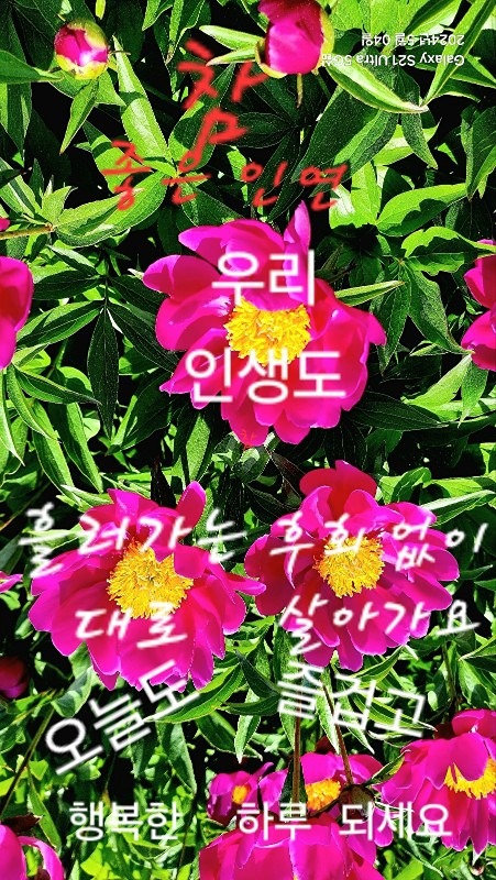 바다낚시여행 민물낚시