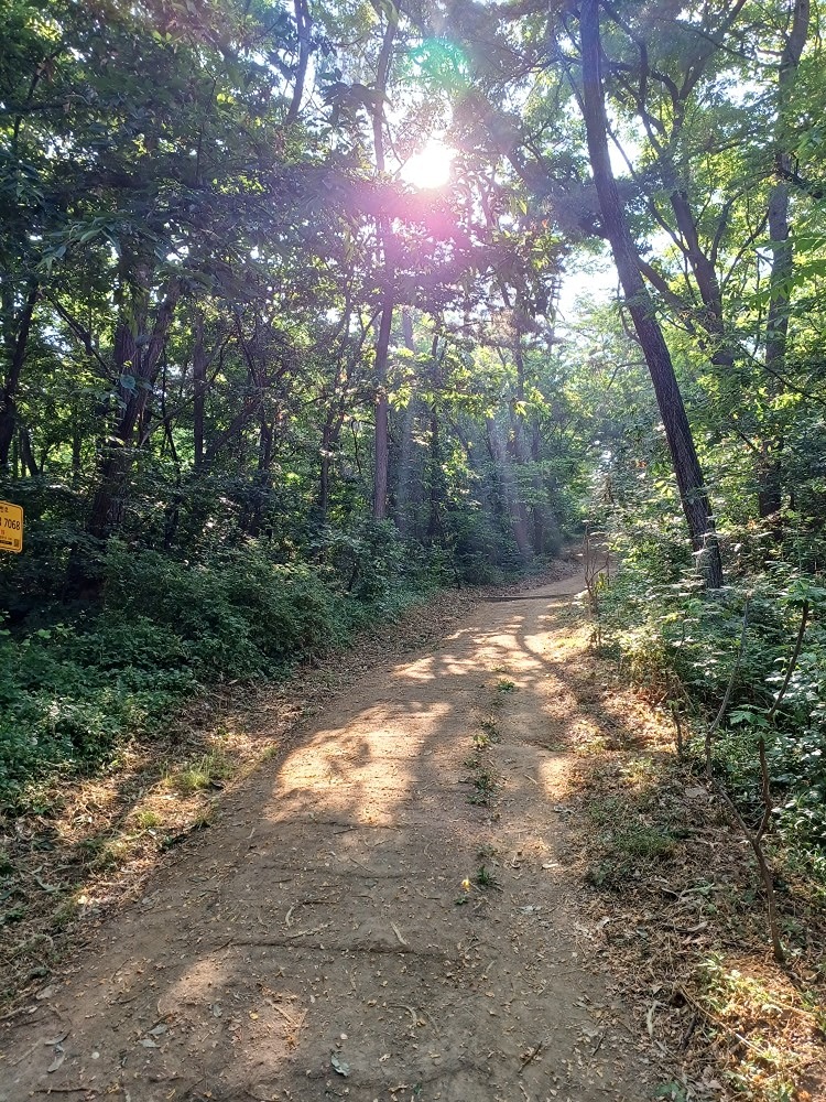 상쾌하고 신선한 공기마시고  주말을즐겨봅니다.~~^^