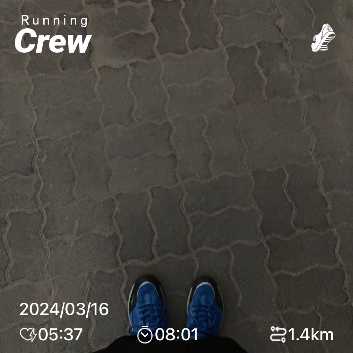 RUN! 앨범 사진
