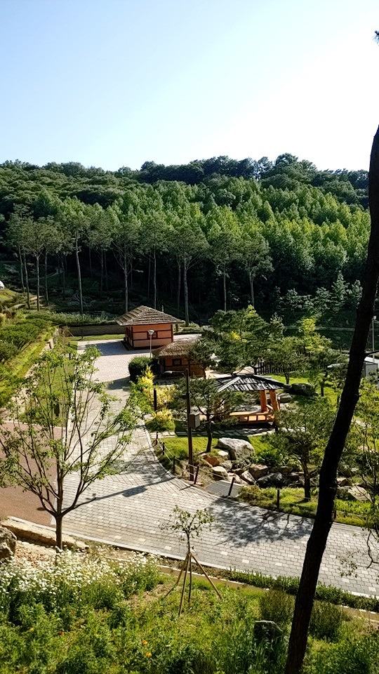 성악을  사랑하는  사람 앨범 사진