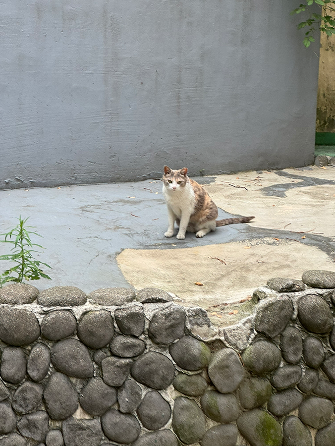 부산역비즈니스호텔 picture 0