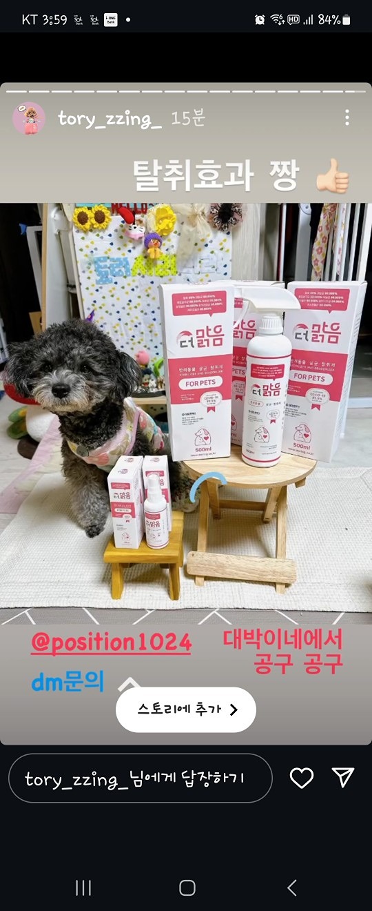 댕댕이블루스<산책.여행> 앨범 사진