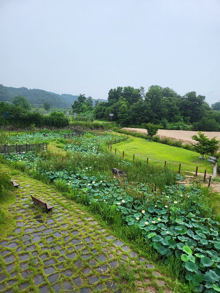 걷는게 좋아요