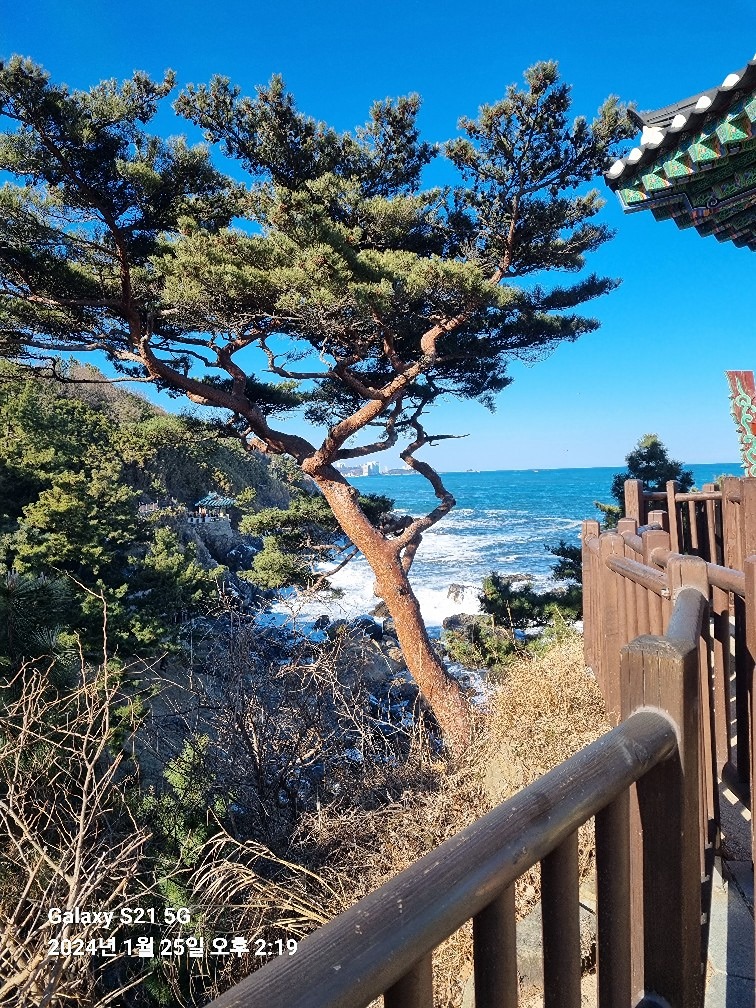 캠핑 ※휠링&추억 앨범 사진